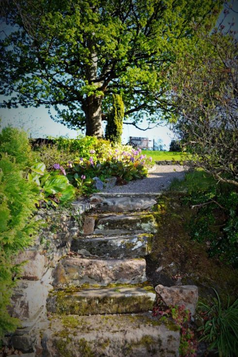 Craigellachie Lodge Garden Path